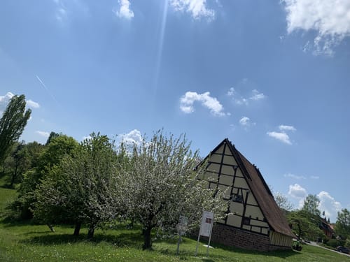 Nibelungensteig Etappe 5: Hesselbach -  Amorbach