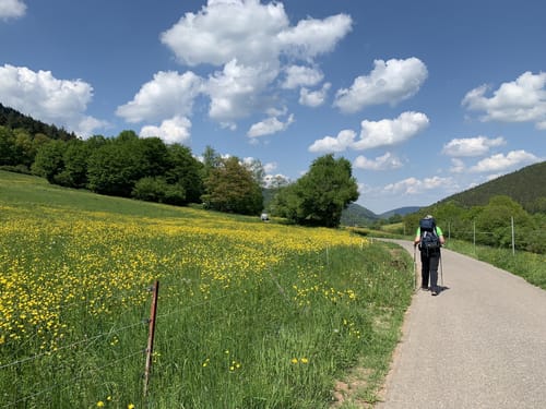 Nibelungensteig Etappe 5: Hesselbach -  Amorbach