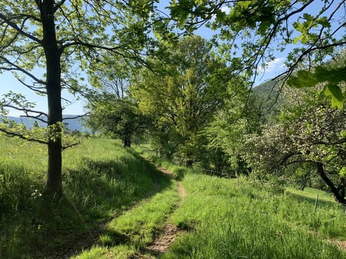 Nibelungensteig Etappe 5: Hesselbach -  Amorbach