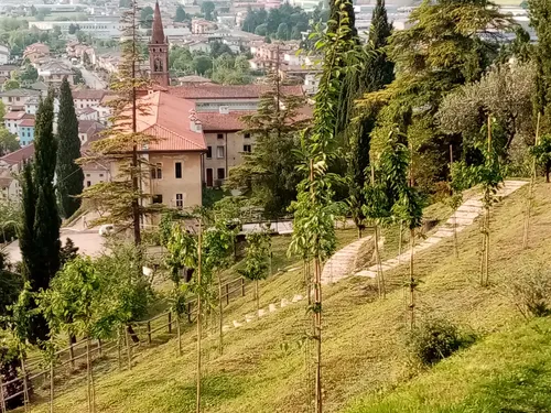 2023 Best Partially Paved Trails in Isola Vicentina AllTrails