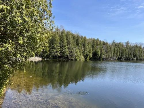 10 Best forest trails in Milton | AllTrails
