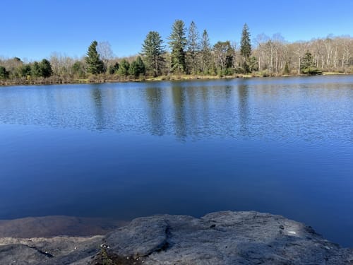 Best Trails In Crystal Lake Wild Forest Ny Alltrails