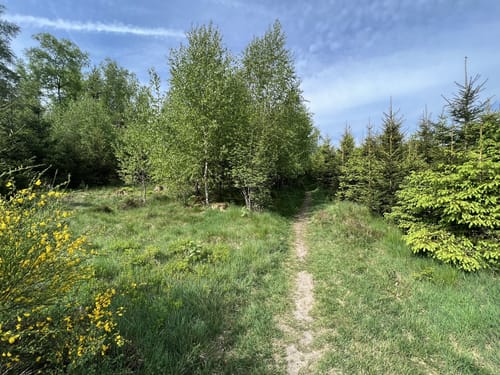 Knollen ab Bergneustadt