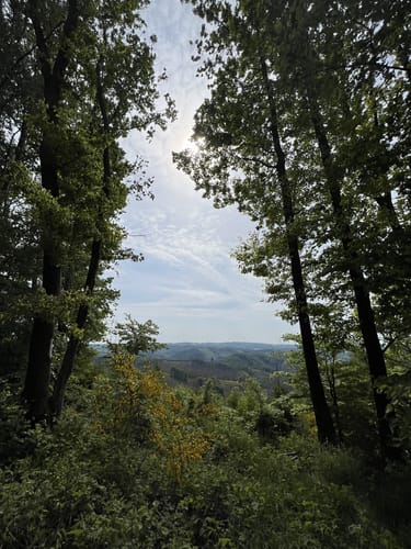 Knollen ab Bergneustadt