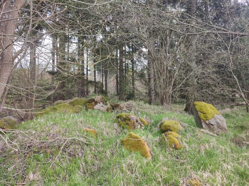 Grünes Band: Ullitz bis Pfarrwiese