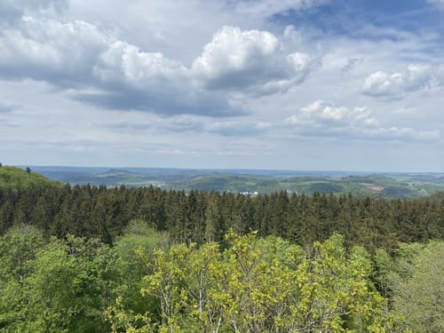Eifelsteig Etappe 10: Gerolstein - Daun