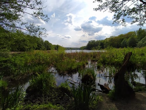 Rund um den Grunewaldsee