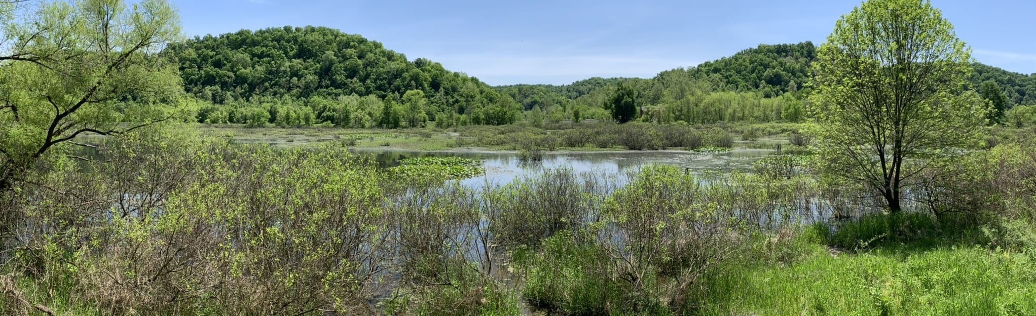 Green Bottom Board Walk, West Virginia 22 Reviews, Map AllTrails