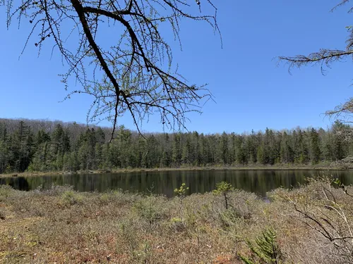 Best Hikes and Trails in Robert V. Riddell State Park | AllTrails