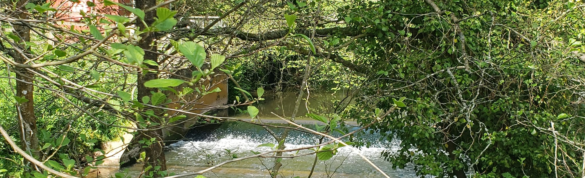 Taunton Park and Ride Frieze Hill 4 Reviews, Map Somerset, England