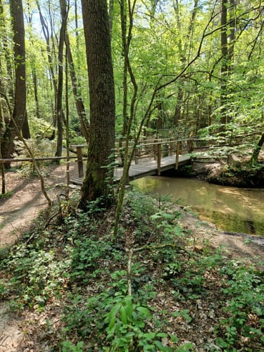 Romantisches Furlbachtal
