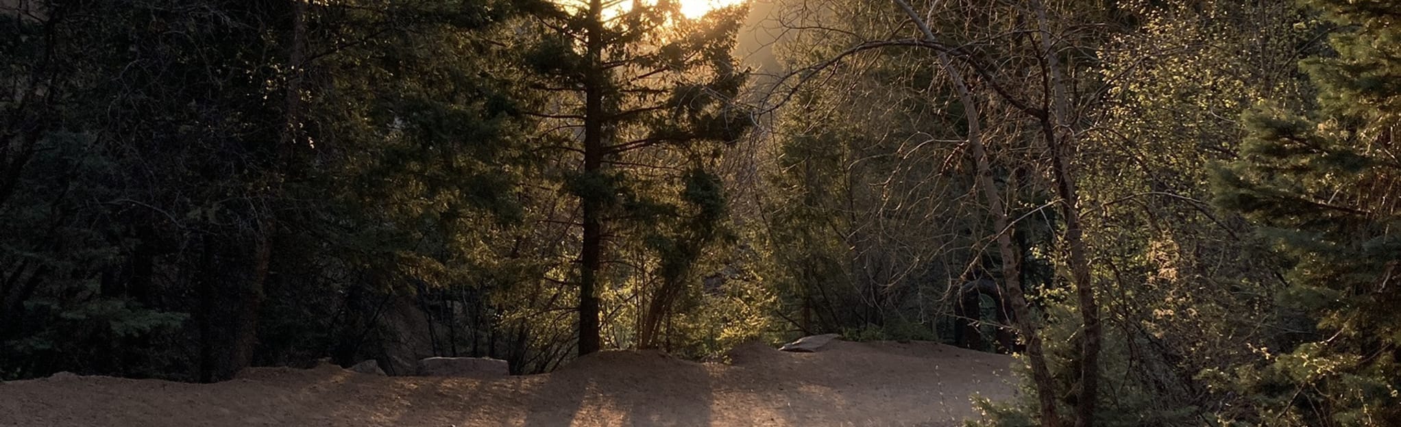 Bear Creek and Sesame Trail [CLOSED], Colorado 41 Reviews, Map