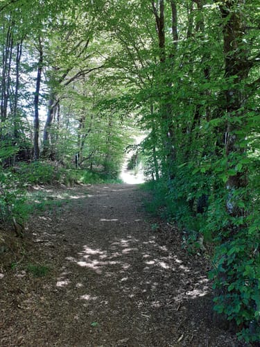 Rund um die Schneifel