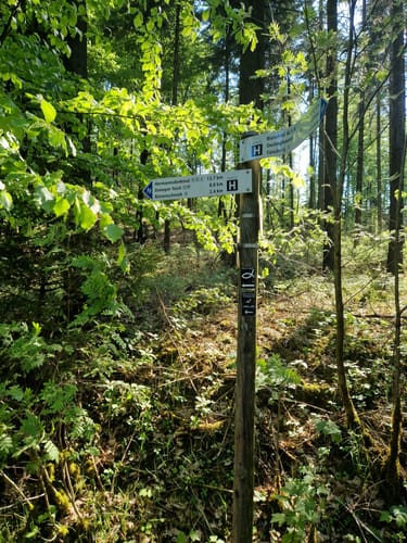 Radwanderweg Oerlinghausen OE2