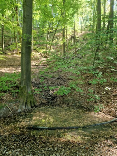 Radwanderweg Oerlinghausen OE2