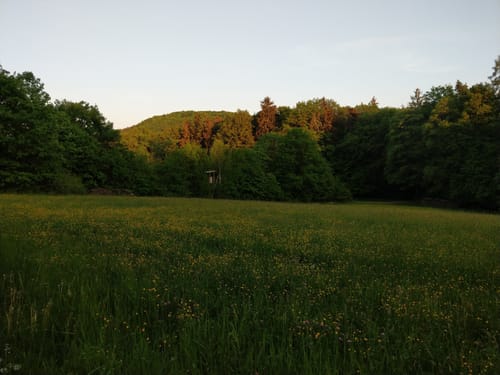 Rund um Sulzbürg