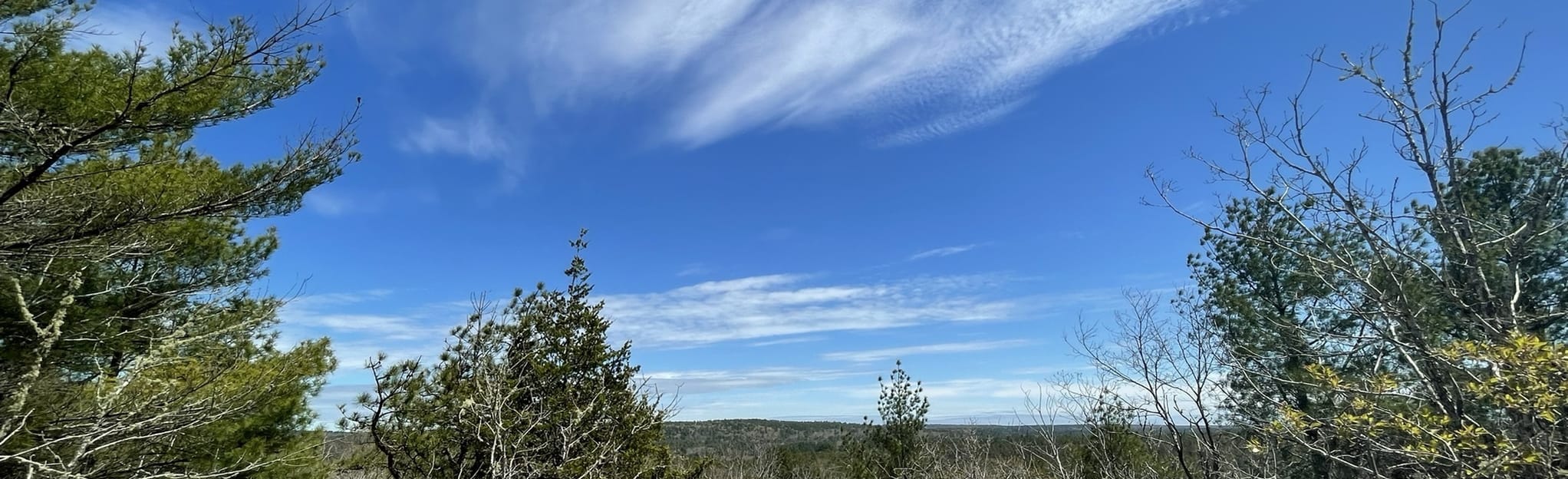 Mount Tom Trail Map Guide - EyJidWNrZXQiOiJhc3NldHMuYWxsdHJhaWxzLmNvbSIsImtleSI6InVwbG9hZHMvcGhvdG8vaW1hZ2UvNDcxMTQ4OTYvMjE0M2ZiZDgxYTkyYTIwOWE1MDQ0MGE5NjBmMjllNjcuanBnIiwiZWRpdHMiOnsidG9Gb3JtYXQiOiJqcGVnIiwicmVzaXplIjp7IndpZHRoIjoyMDQ0LCJoZWlnaHQiOjYyNCwiZml0IjoiY292ZXIifSwicm90YXRlIjpudWxsLCJqcGVnIjp7InRyZWxsaXNRdWFudGlzYXRpb24iOnRydWUsIm92ZXJzaG9vdERlcmluZ2luZyI6dHJ1ZSwib3B0aW1pc2VTY2FucyI6dHJ1ZSwicXVhbnRpc2F0aW9uVGFibGUiOjN9fX0=