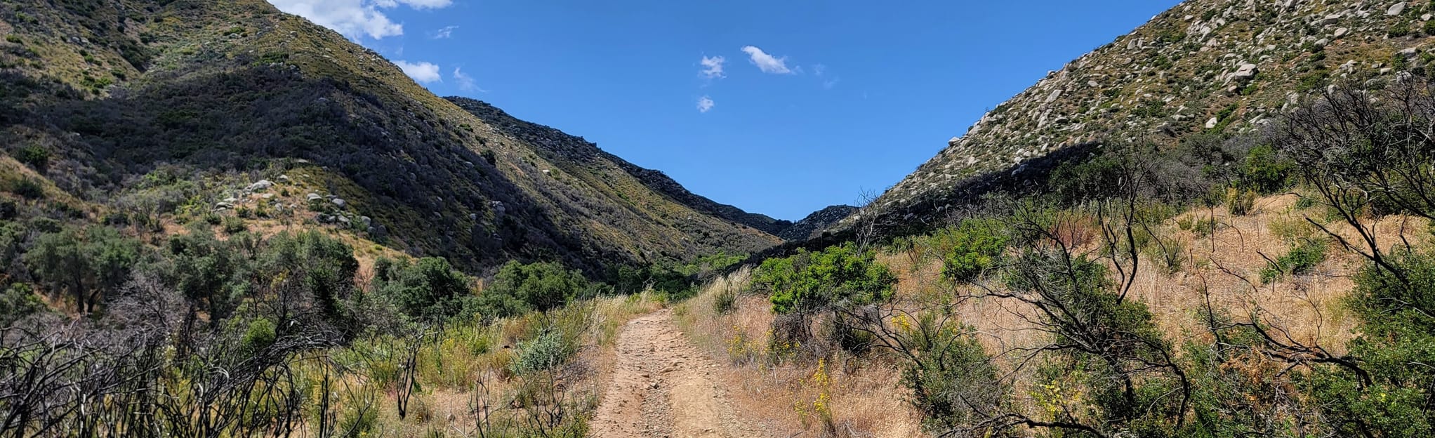 Wiashal Trail Loop to Cole Canyon California AllTrails