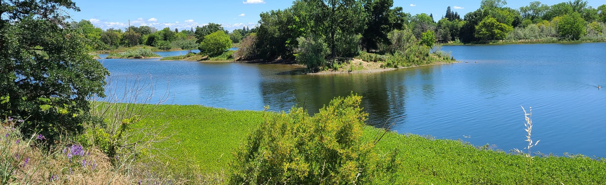 Levee Path and American River Bike - EyJidWNrZXQiOiJhc3NldHMuYWxsdHJhaWxzLmNvbSIsImtleSI6InVwbG9hZHMvcGhvdG8vaW1hZ2UvNDcxMjAzODAvM2RkOTk0YjhlODE5ODhiNDJmNDIxMzk3NWFkMWI3YWEuanBnIiwiZWRpdHMiOnsidG9Gb3JtYXQiOiJqcGVnIiwicmVzaXplIjp7IndpZHRoIjoyMDQ0LCJoZWlnaHQiOjYyNCwiZml0IjoiY292ZXIifSwicm90YXRlIjpudWxsLCJqcGVnIjp7InRyZWxsaXNRdWFudGlzYXRpb24iOnRydWUsIm92ZXJzaG9vdERlcmluZ2luZyI6dHJ1ZSwib3B0aW1pc2VTY2FucyI6dHJ1ZSwicXVhbnRpc2F0aW9uVGFibGUiOjN9fX0=