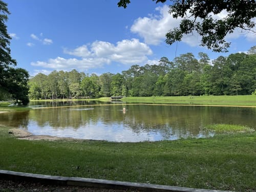 De 10 beste routes in Sam Houston - EyJidWNrZXQiOiJhc3NldHMuYWxsdHJhaWxzLmNvbSIsImtleSI6InVwbG9hZHMvcGhvdG8vaW1hZ2UvNDcxMjIxNzUvZDViOGUzZGQ1MjkyMWRhYzc0MTRhMzk4YWIwOTQyMWEuanBnIiwiZWRpdHMiOnsidG9Gb3JtYXQiOiJqcGVnIiwicmVzaXplIjp7IndpZHRoIjo1MDAsImhlaWdodCI6NTAwLCJmaXQiOiJpbnNpZGUifSwicm90YXRlIjpudWxsLCJqcGVnIjp7InRyZWxsaXNRdWFudGlzYXRpb24iOnRydWUsIm92ZXJzaG9vdERlcmluZ2luZyI6dHJ1ZSwib3B0aW1pc2VTY2FucyI6dHJ1ZSwicXVhbnRpc2F0aW9uVGFibGUiOjN9fX0=