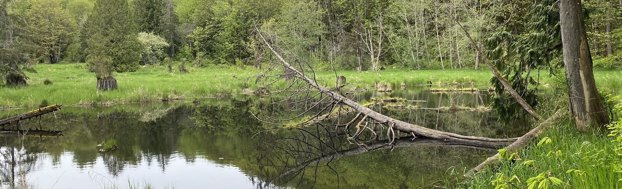 River Quarry Road, Quarry, River, and Pipeline Trail 449 foto's