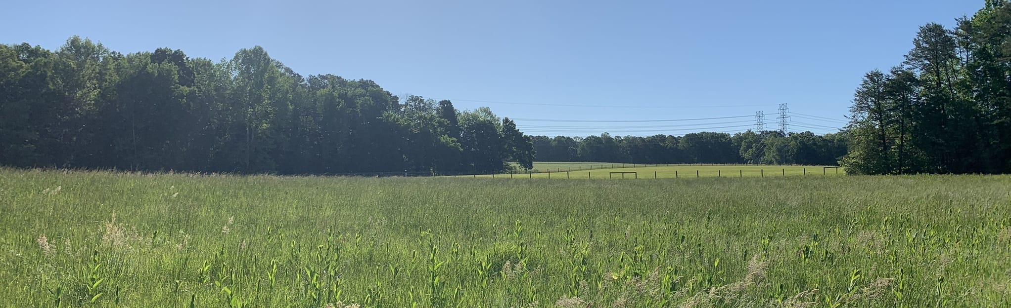 Shallow Ford Orange, Yellow, Green, Blue Loop 437 Fotos North