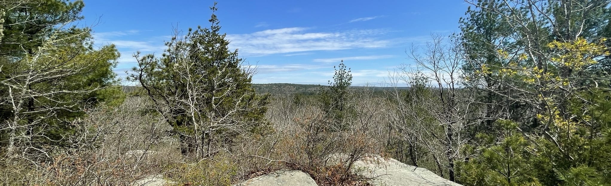 Mount Tom Trail, Rhode Island 645 Reviews, Map AllTrails