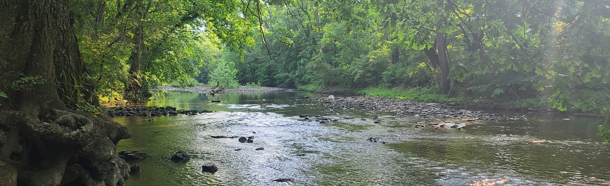 drakes creek park july 4th