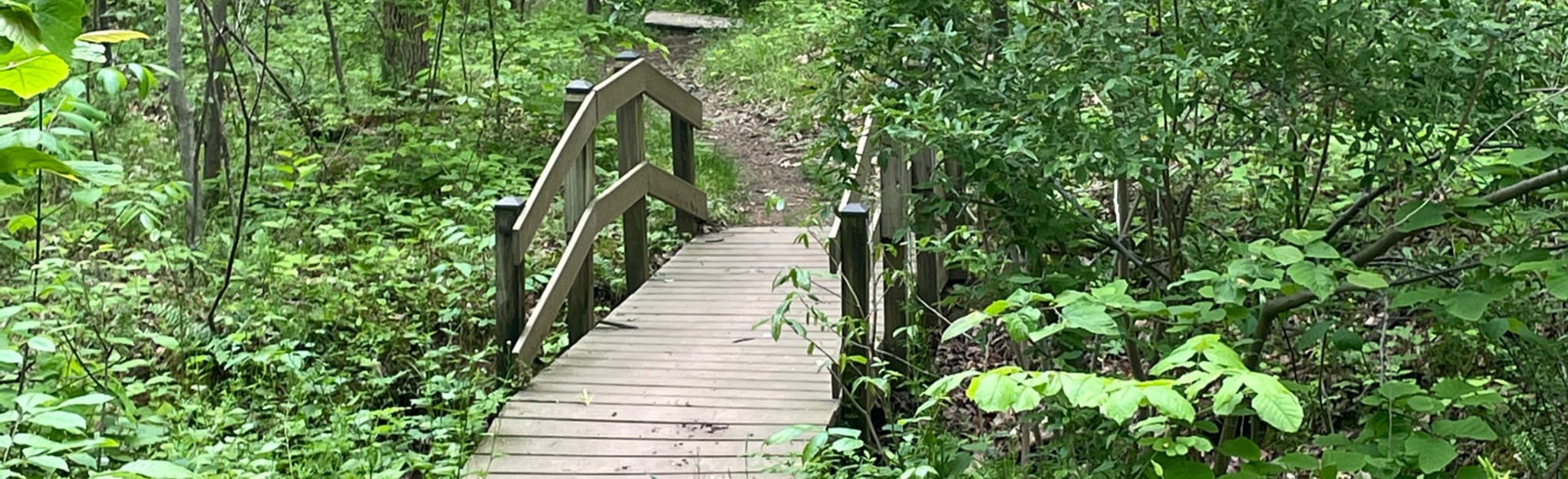 Ball's Bluff Regional Park Loop via Potomac Heritage Trail, Virginia