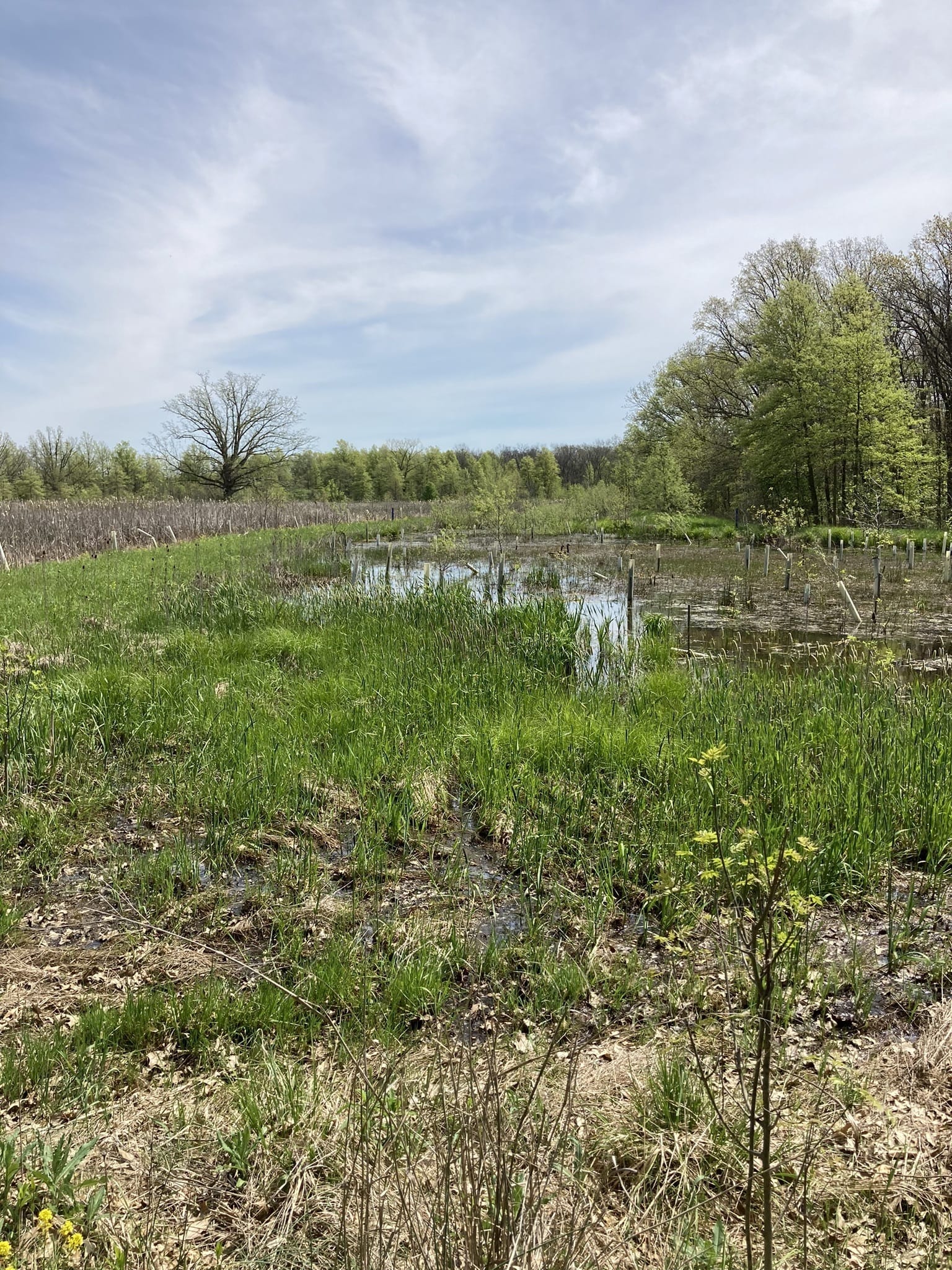 Photos of Defiance, Ohio trails | AllTrails