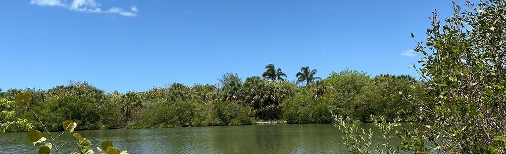 are dogs allowed at lovers key state park