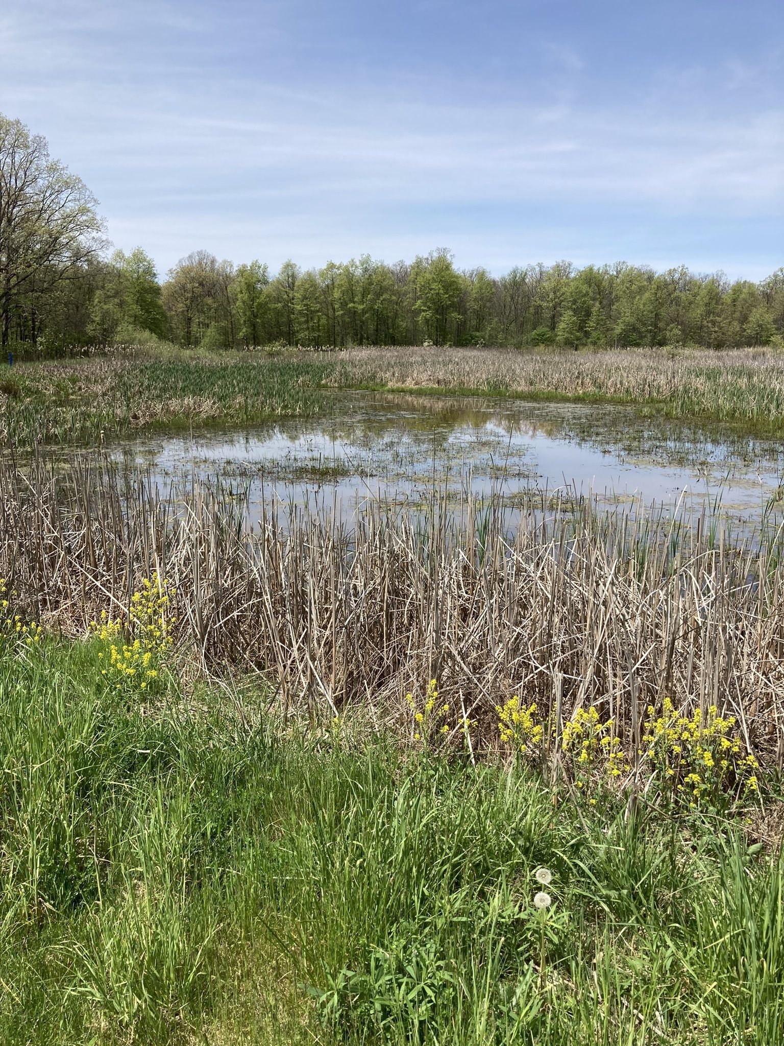 Photos of Defiance, Ohio trails | AllTrails