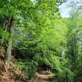 Waverley Medieval Circular, Surrey, England - 377 Reviews, Map | AllTrails