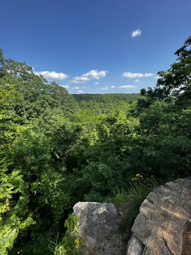 2023 Best Hard Trails in Monte - EyJidWNrZXQiOiJhc3NldHMuYWxsdHJhaWxzLmNvbSIsImtleSI6InVwbG9hZHMvcGhvdG8vaW1hZ2UvNDcxNDg2NTUvMTEwOTZlZWUwZDhjYTUwN2I0ZDgyNTk3OTBjYmM1YjIuanBnIiwiZWRpdHMiOnsidG9Gb3JtYXQiOiJ3ZWJwIiwicmVzaXplIjp7IndpZHRoIjo1MDAsImhlaWdodCI6NTAwLCJmaXQiOiJpbnNpZGUifSwicm90YXRlIjpudWxsLCJqcGVnIjp7InRyZWxsaXNRdWFudGlzYXRpb24iOnRydWUsIm92ZXJzaG9vdERlcmluZ2luZyI6dHJ1ZSwib3B0aW1pc2VTY2FucyI6dHJ1ZSwicXVhbnRpc2F0aW9uVGFibGUiOjN9fX0=