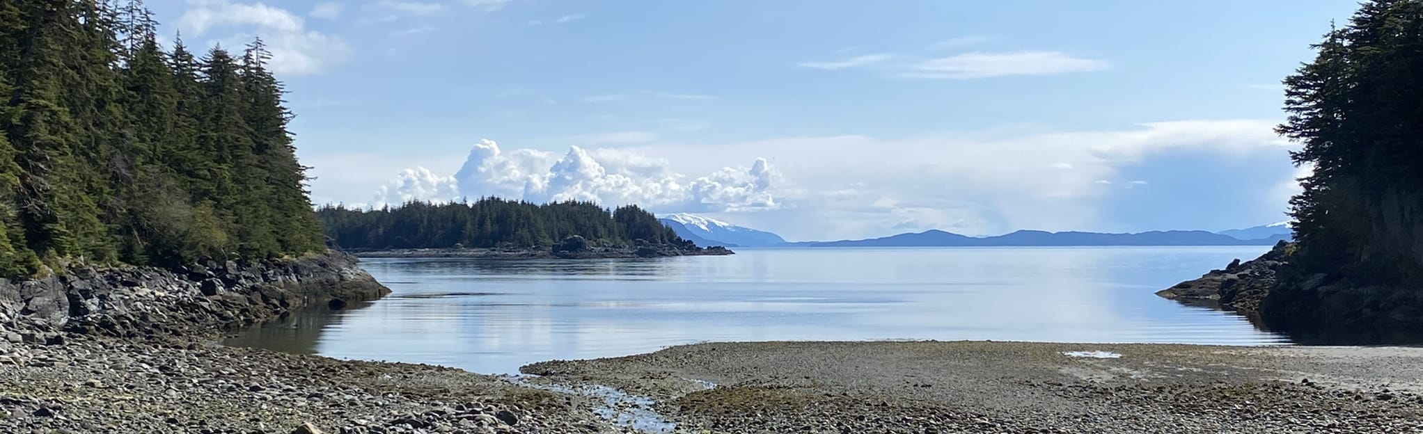 North Bridget Cove Trail 52 Reviews, Map Alaska AllTrails