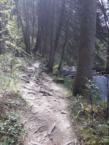 Wasser - Wolle - Schiefersteine