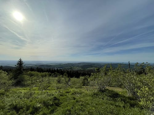 Auf den Großen Feldberg