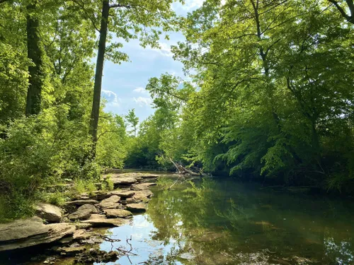 Best Hikes and Trails in Fischer Park at Port Royal | AllTrails