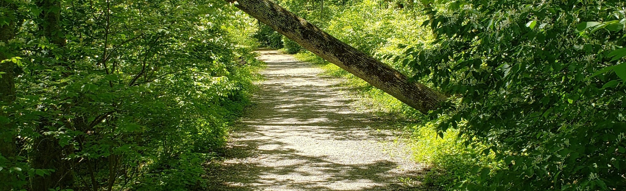 Stephan Field to Red Bird Hollow 268 Reviews, Map Ohio AllTrails