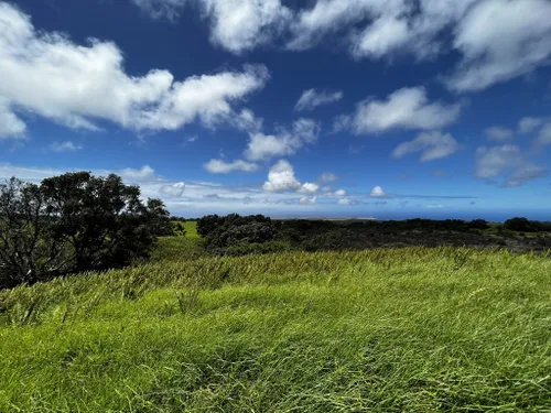 Hawaiʻi Birding Trails