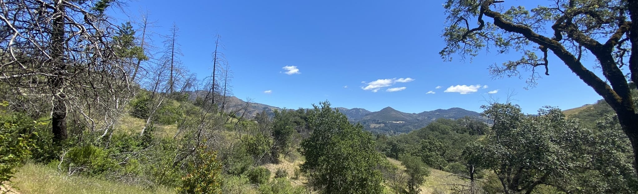 Lawndale, Marsh, Pig Flat and Ridge Trail 73 Reviews, Map California