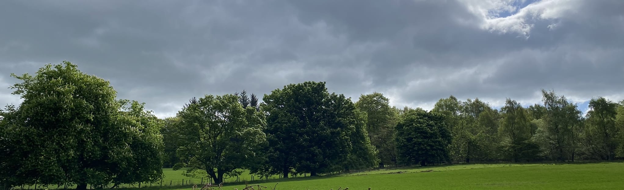 Keith Hall Circular, Aberdeenshire, Scotland 16 Reviews, Map AllTrails