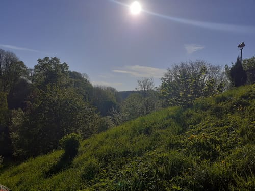 EifelSchleife Hoch auf den Steinert