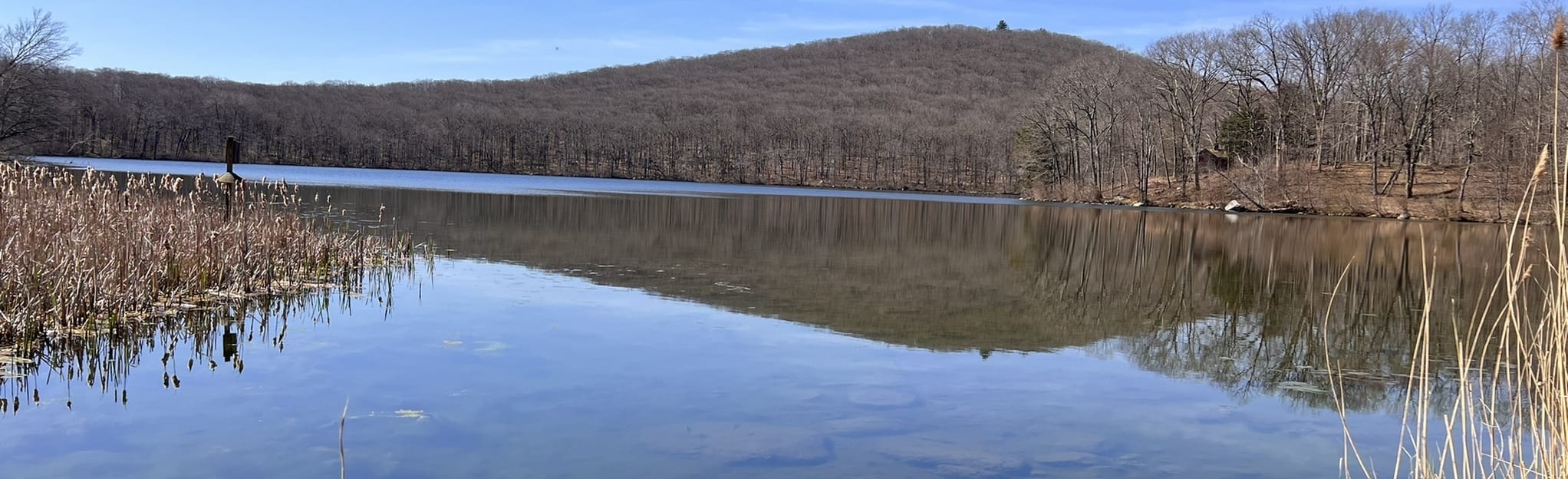 Saturday Afternoon and Fuller Pond Loop via Red Gate Trail, Connecticut
