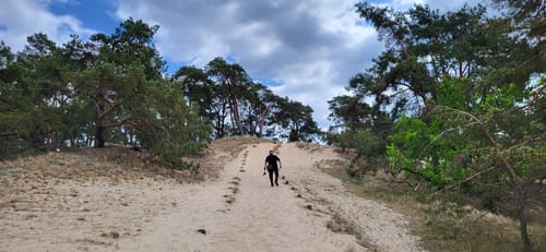 Dünenweg Klein Schmölen