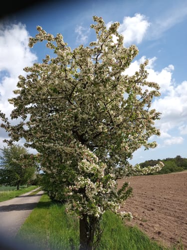 Tour um Selliner See
