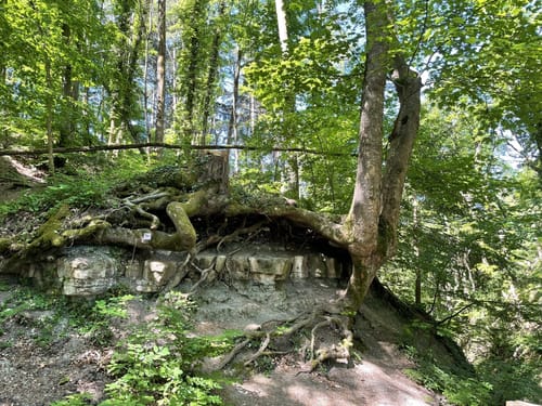Katzenbach Stausee - Weißer Steinbruch - Burgruine Blankenburg