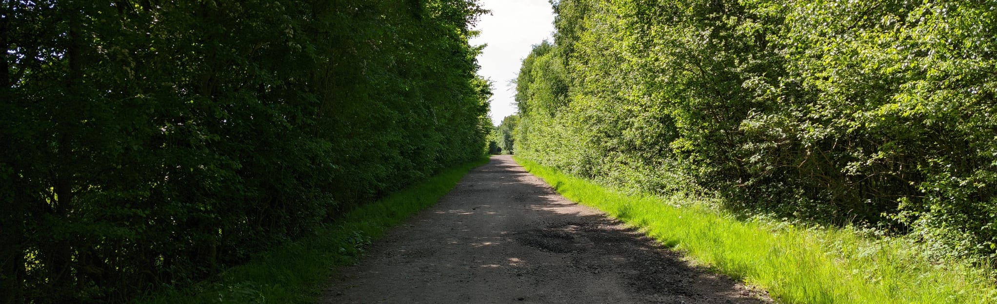 Bentley, ThorpeinBalne and Arksey Circular 26 Fotos South