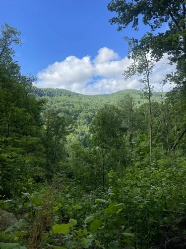 Best Hikes and Trails in Tryon | AllTrails