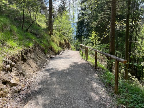 Altherrenweg